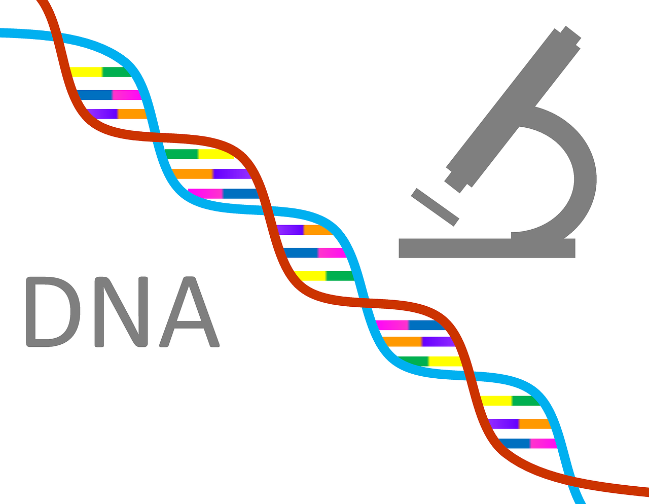 DNA and longevity