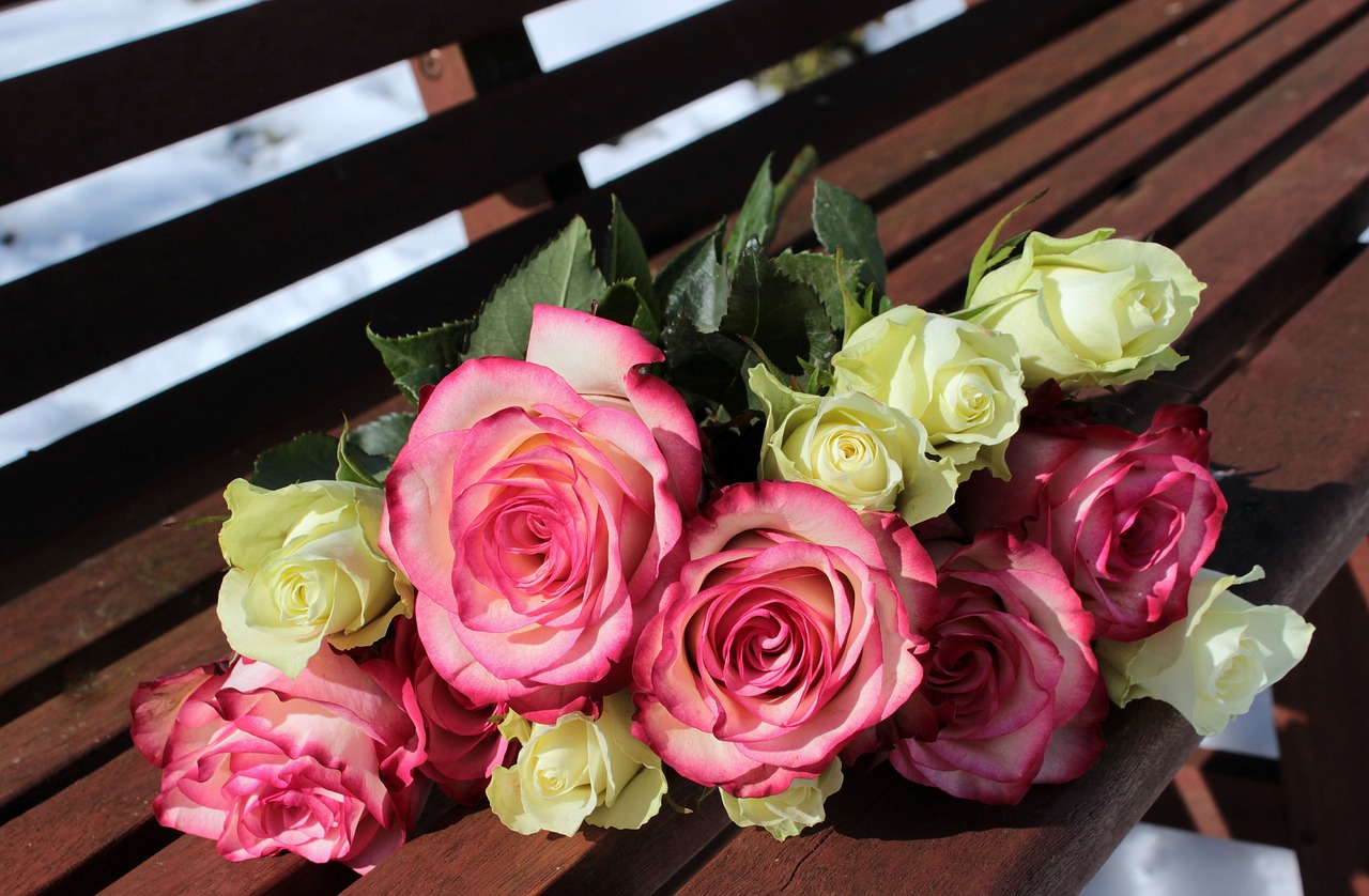 pink roses Jo Malone