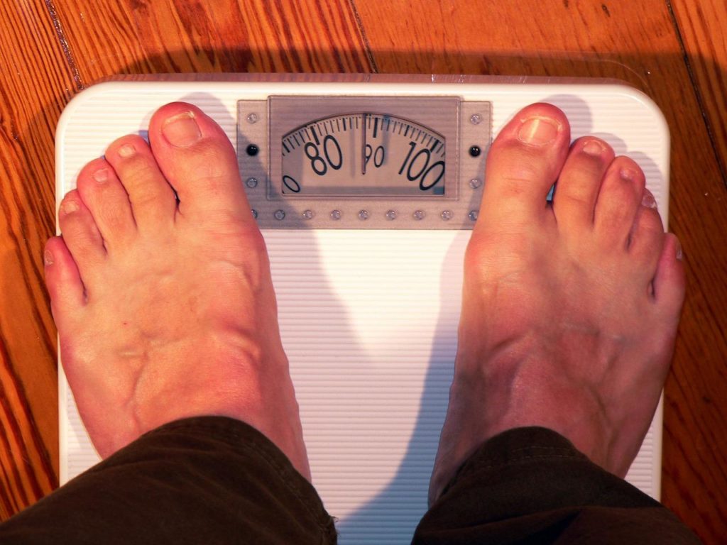 Weighing Scales for BMI and BMR